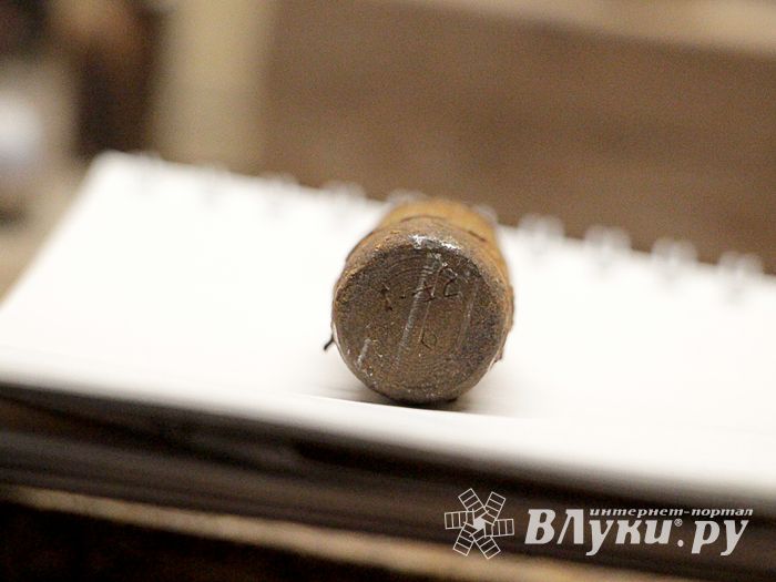 Великолучанин обнаружил боеприпас к авиационной пушке (ФОТО)