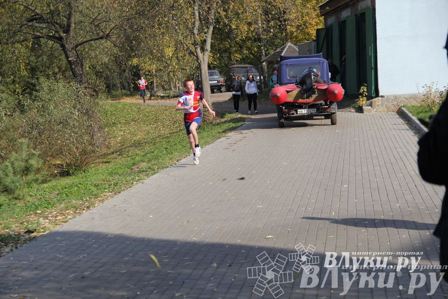 На о. Дятлинка прошел кросс среди обучающихся 8-х классов
