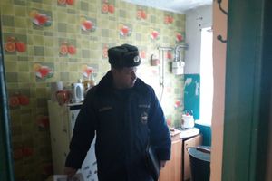 Профилактический рейд по пожарной безопасности прошел Новосокольниках (ФОТО)