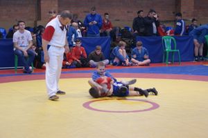 Великолучане завоевали призовые места на турнире по самбо «Память» (ФОТО)