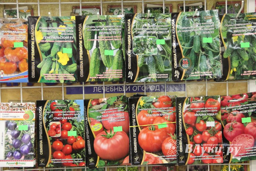 В ДК ЛК открылась 7-я Великолукская универсальная выставка (ФОТО, ВИДЕО)