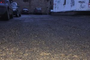 В Великих Луках возле детской поликлиники засыпали ямы (фото)