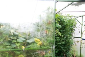 В Великих Луках полицией выявлена нарколаборатория (ФОТО)