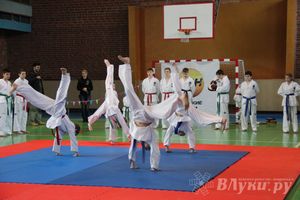 В Великих Луках прошло Первенство по тхэквондо (фото)