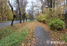 На финише сентября погоду в стране будет лихорадить