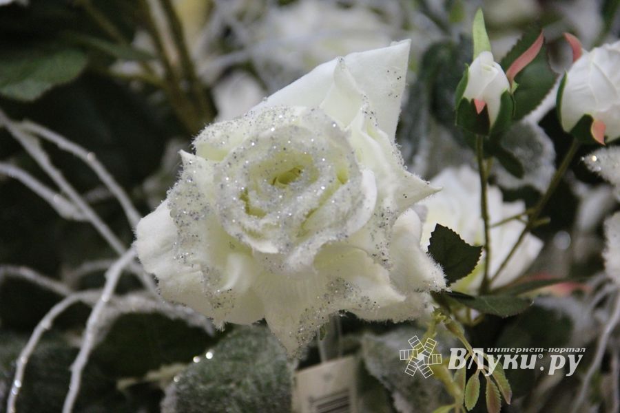 Как украсить дом к Новому Году? (ФОТО)