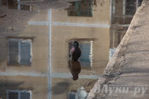 Весенний день