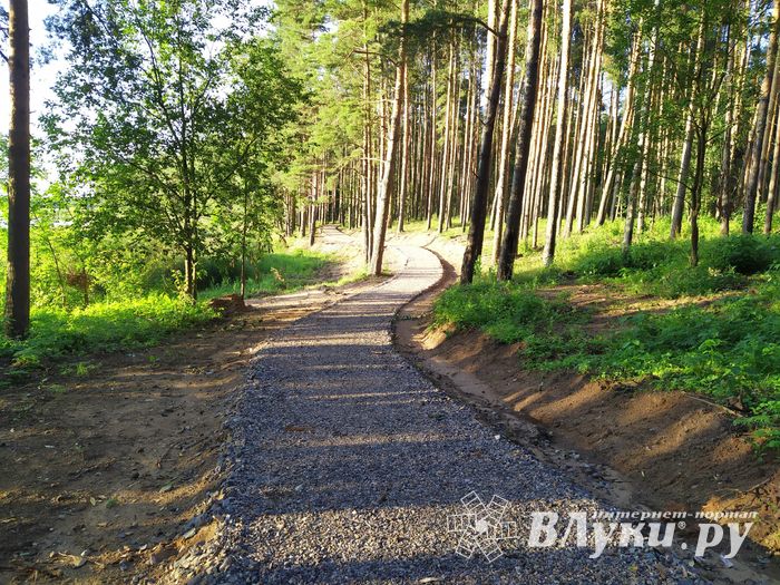 В «Парке без границ» появляются беседки (ФОТО)