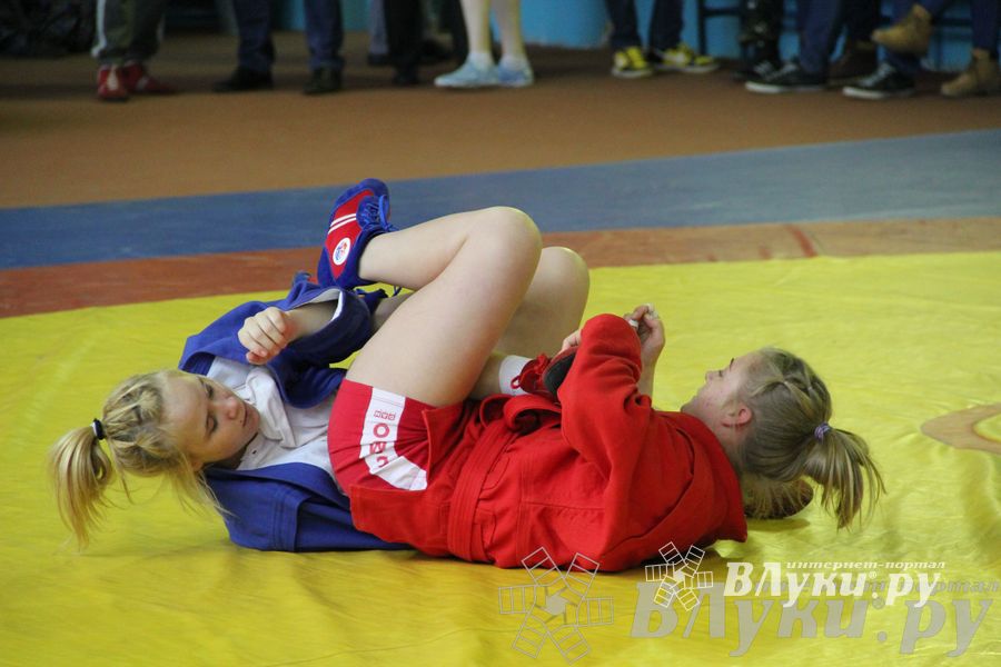 Всероссийский турнир по самбо