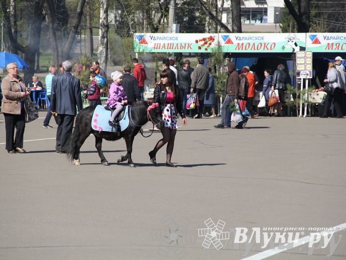Традиционная весенняя ярмарка прошла в Великих Луках