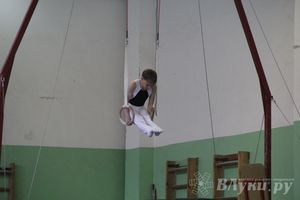 В Великих Луках прошел турнир по спортивной гимнастике (фото)