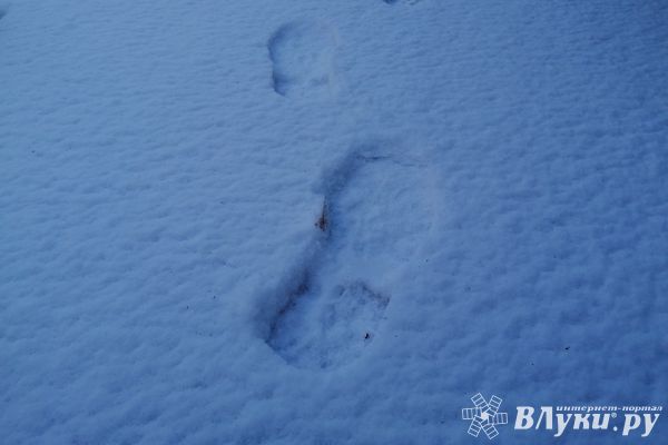Синоптики обещают зиму с аномалиями
