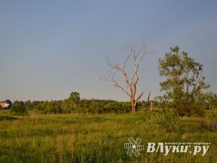 Автор фото: Дарья Мораускайте