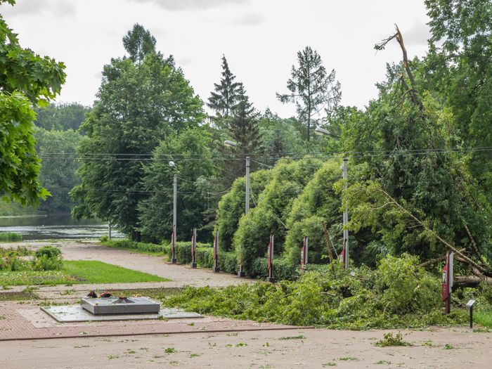 Небезразличные великолучане помогают убрать город после урагана (ФОТО)