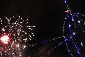 В Великих Луках зажгли Ёлку (ФОТО)