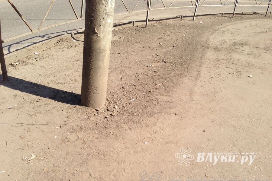 Весне дорогу!