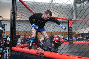 В Великих Луках прошел кубок по смешанному боевому единоборству (ФОТО)