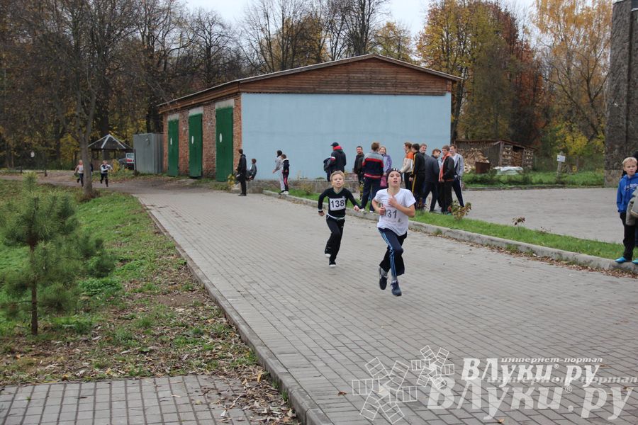 Легкоатлетический осенний кросс прошел в Великих Луках (фото)