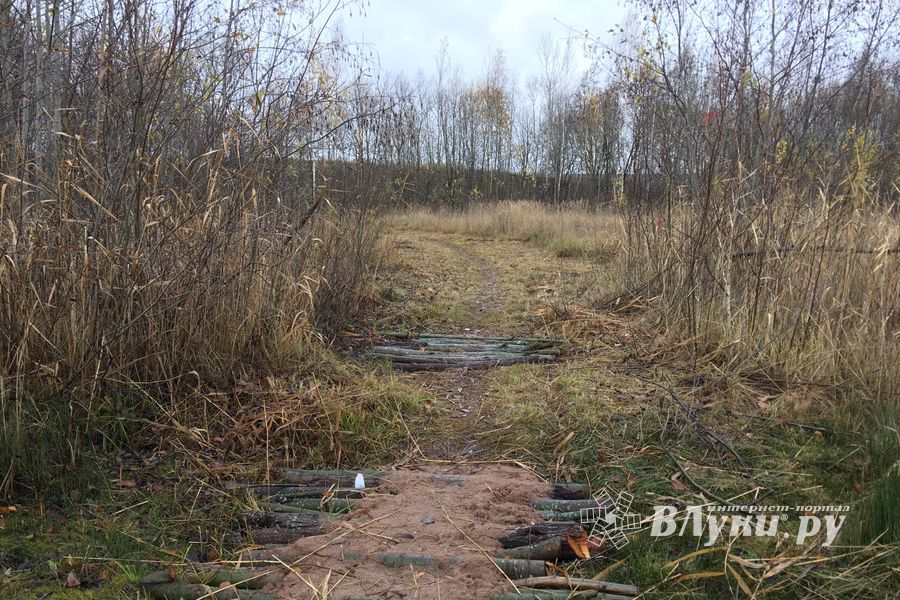 Переслегинские ребята сгибают «Подкову» (ФОТО)