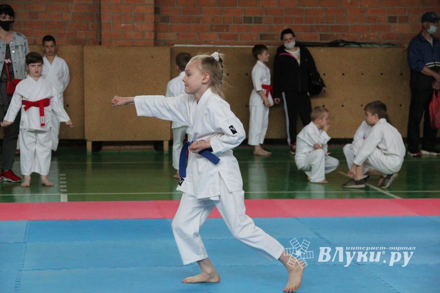 Открытый Кубок города Великие Луки по каратэ WKF (ФОТО)