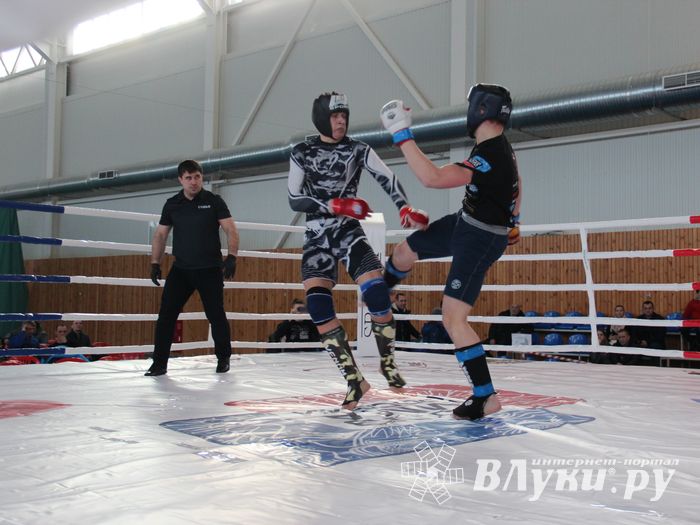 В Великих Луках проходит открытый кубок по смешанному боевому единоборству ММА (ФОТО) (12+)