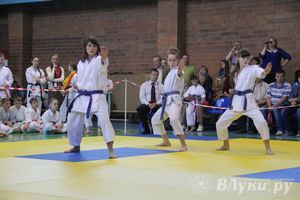 Великолучане стали победителями турнира по каратэ «Неприкосновенный запас, дети — Отчизны 2015» (фото)