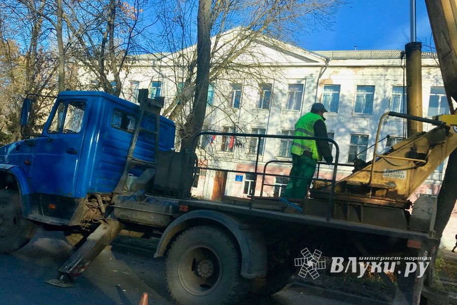 В Великих Луках обрезают тополя (ФОТО)