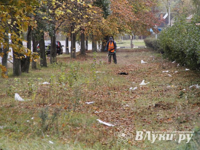 Октябрь: в Великих Луках продолжается покос (ФОТО)