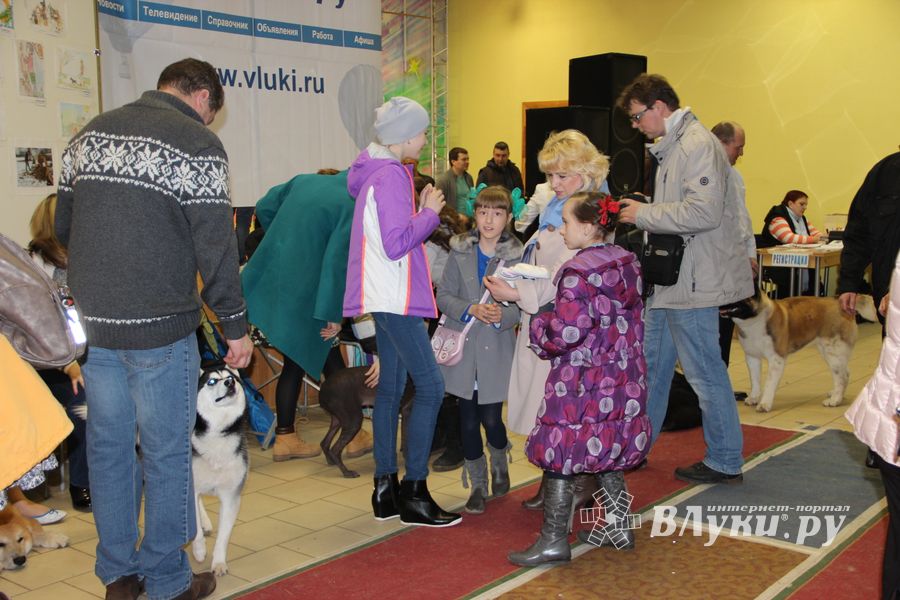 Всероссийская выставка собак в Великих Луках (фото)