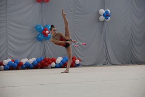 ​В Великих Луках прошли соревнования по художественной гимнастике (ФОТО)