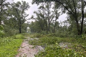 Весь ужас вчерашнего урагана в Великих Луках и районе (ФОТО, ВИДЕО)
