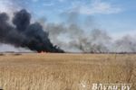 В Псковской области введён особый противопожарный режим