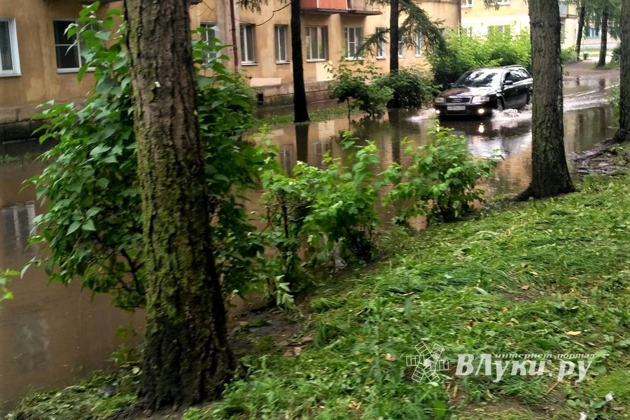 И плывем, и плаваем – Великие Луки после ливня (ФОТО)