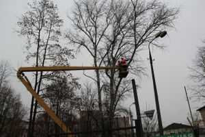 Возле железнодорожной больницы облагораживают сквер (ФОТО)