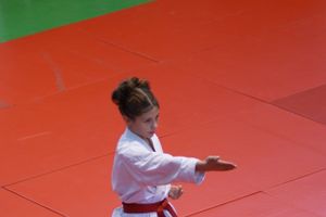 В Великих Луках прошли соревнования по каратэ (ФОТО)