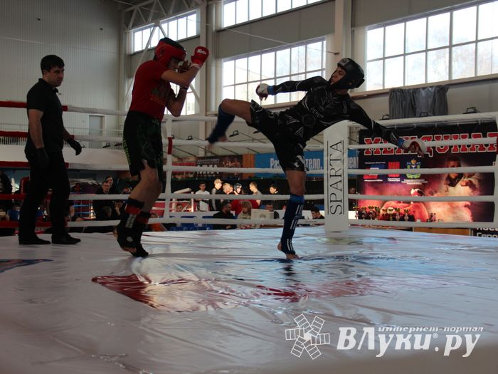 В Великих Луках завершился открытый кубок по смешанному боевому единоборству ММА (ФОТО)