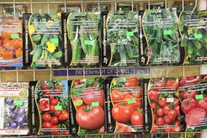 В ДК ЛК открылась 7-я Великолукская универсальная выставка (ФОТО, ВИДЕО)