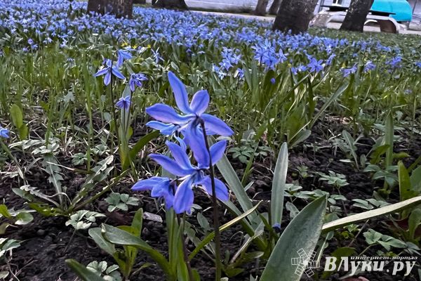 Прогноз погоды на 17 апреля в Великих Луках