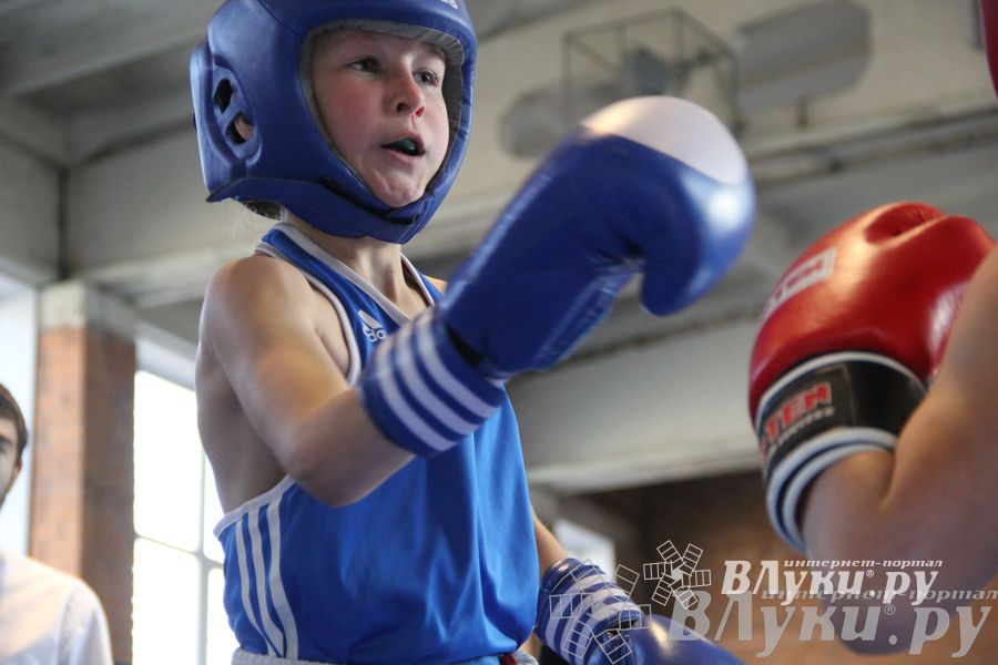 3-й день соревнований Международного турнира по боксу