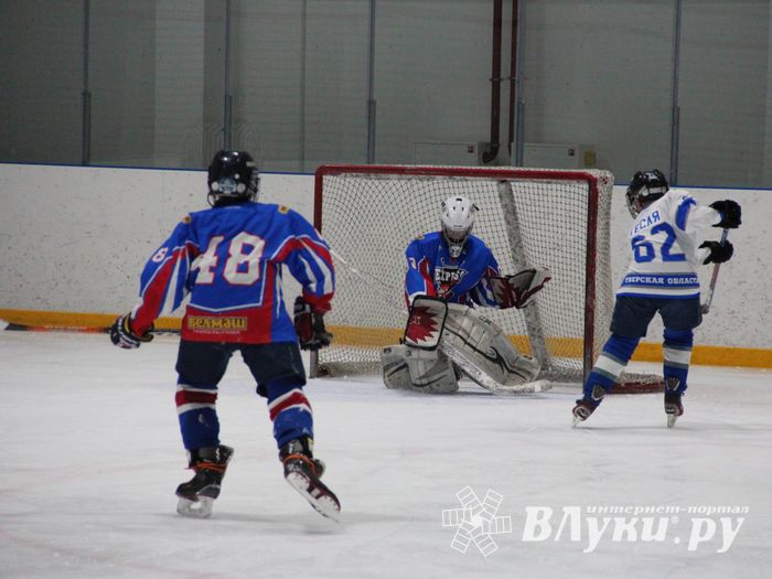 В Великих Луках прошел детский Открытый турнир по хоккею (ФОТО)