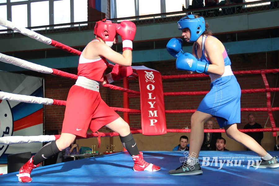В Великих Луках прошел турнир по боксу памяти Е. Клевцова (ФОТО)