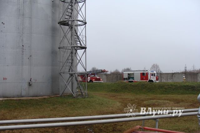 В Острове прошли пожарно-тактические учения (фото)