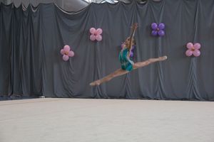​В Великих Луках проходит Открытое Первенство по художественной гимнастике (ФОТО) (0+)