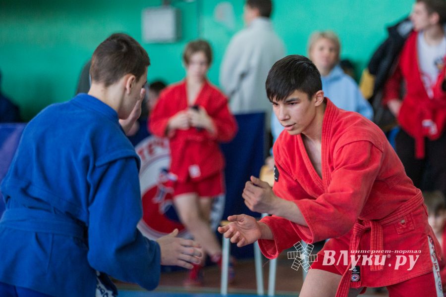 Фото: Александр Воробьев Великолучане завоевали награды Всероссийских соревнований по самбо
