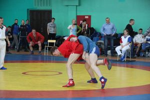 Самбисты поборолись на крупном турнире в Великих Луках (ФОТО)