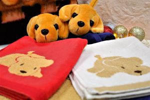 Магазин «Всё для дома» дарит подарки (ФОТО)