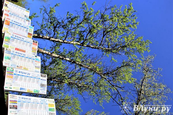 Производственный календарь от ВЛуки.ру готовится к выпуску