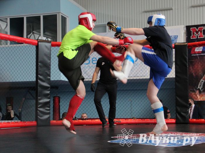 В Великих Луках прошел кубок по смешанному боевому единоборству (ФОТО)