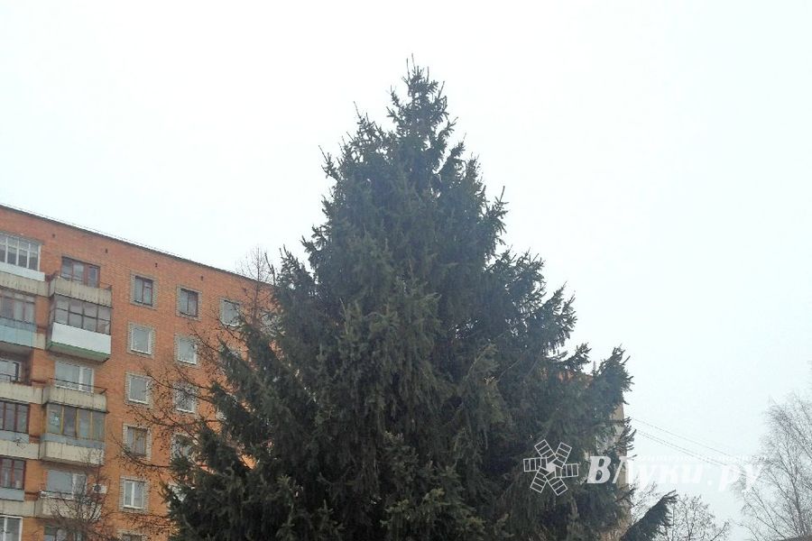 Город готовится к Новому году