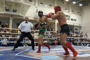 Россияне завоевали 56 золотых наград на Кубке мира по кикбоксингу WAKO (фото)